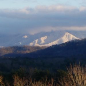 Meet your Posher, Ann